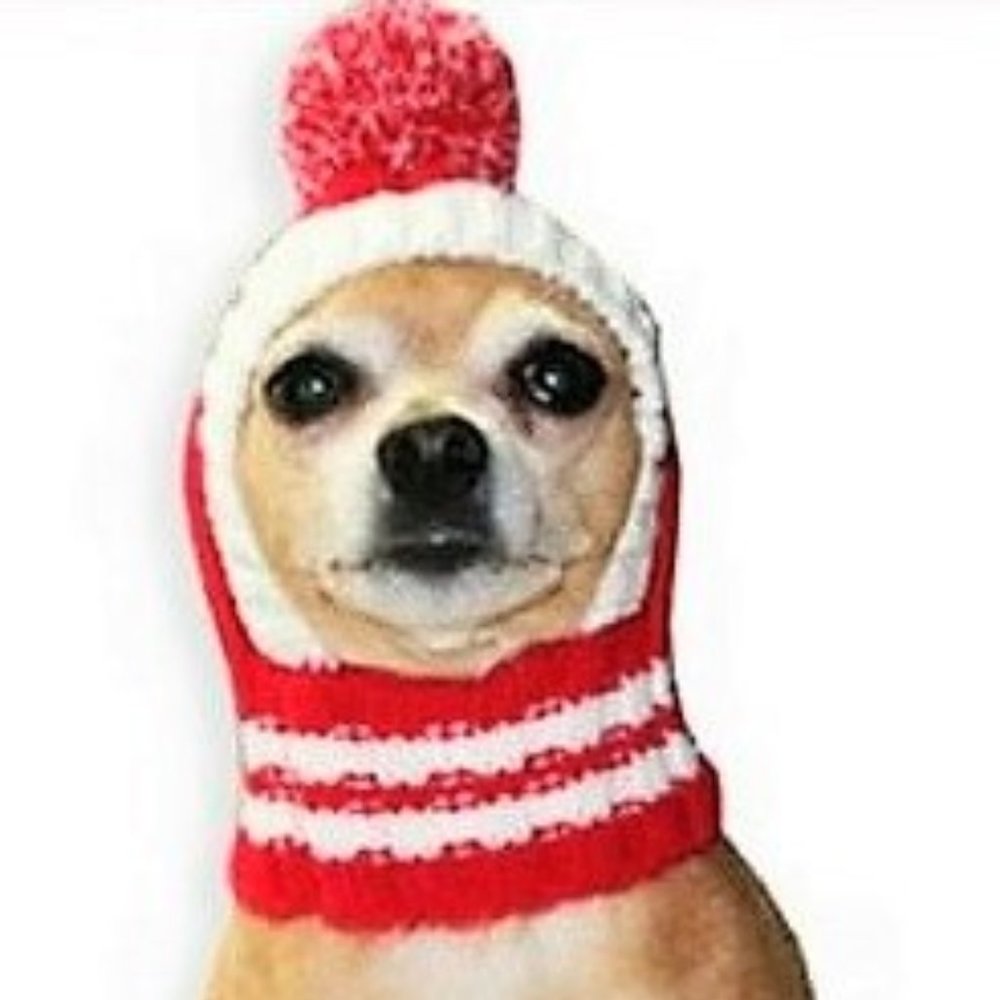 Crown Rib Knit Hat w/PomPom for Dogs